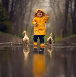 Shoaib