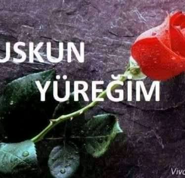 Cevat