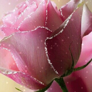 Jewel
