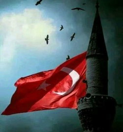 Yeşil