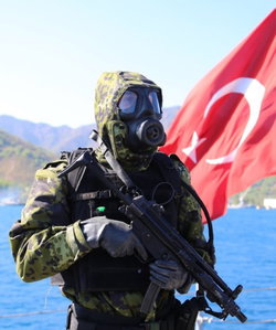 Mustafa
