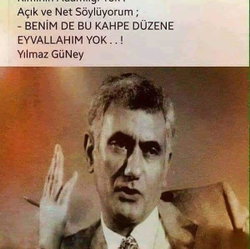 Nesin