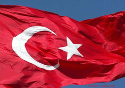 Tolga