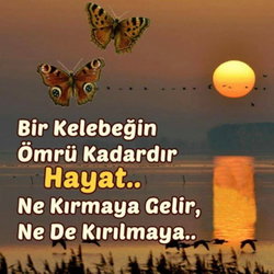 Ülfet
