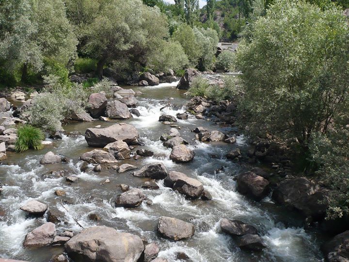 Zaraliyapi