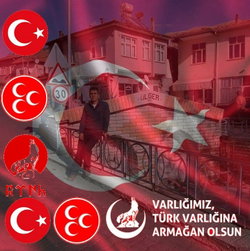 Ergül