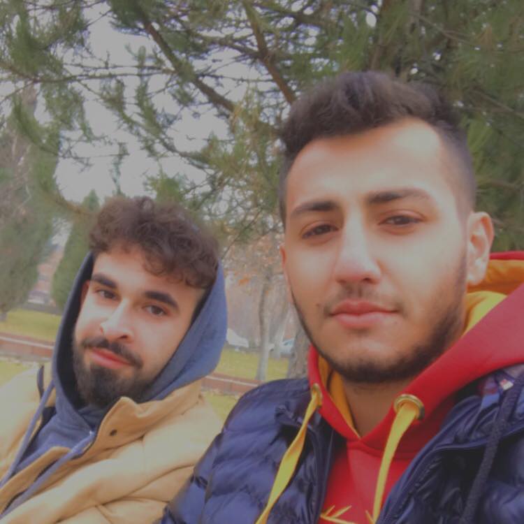 Doğan