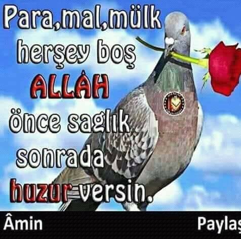 Çehrehan