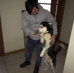 Mehmet