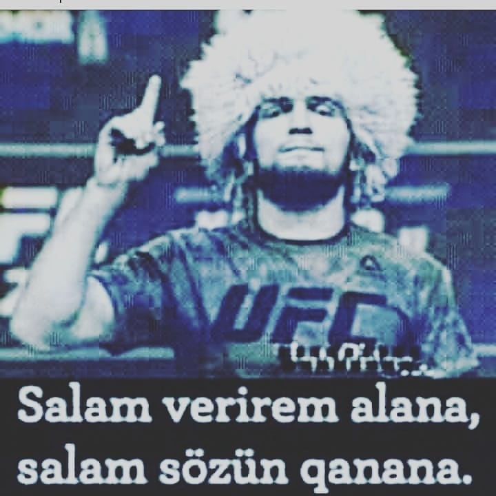 Halil