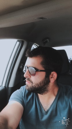 Şahin