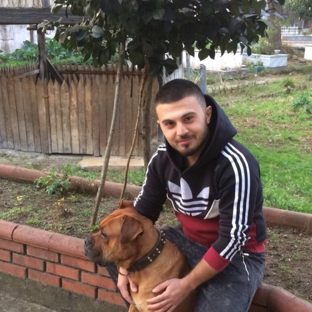 Kaan