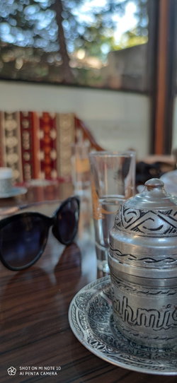 İnur