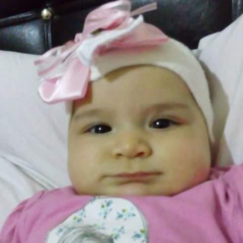 Sibel