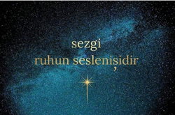 Metin