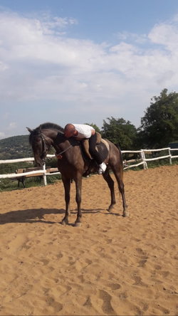 Savas