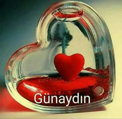 Hulya