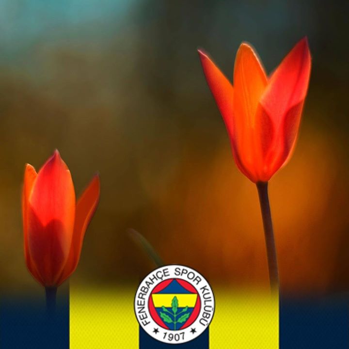 Sercan