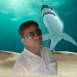 Dinesh