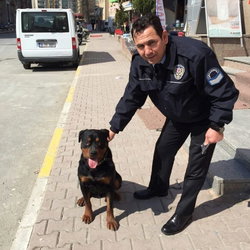 Mustafa