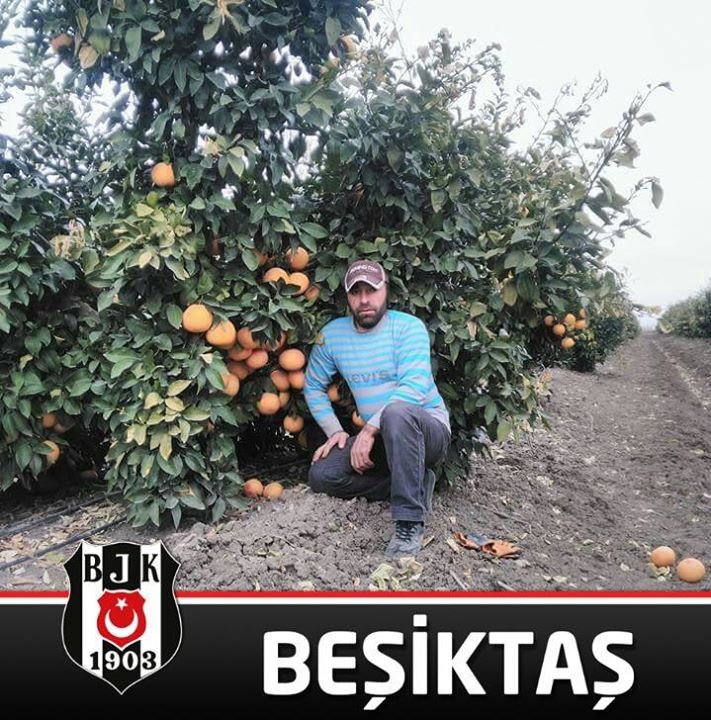 Nazmi