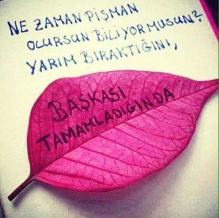 Gül