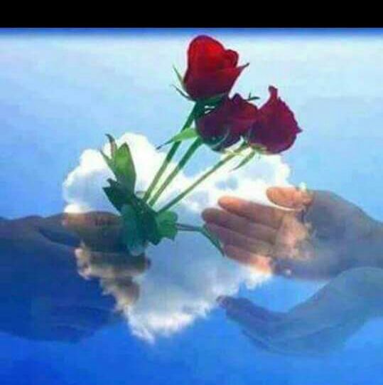 روف