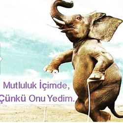 Begüm