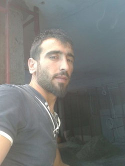 Doğan