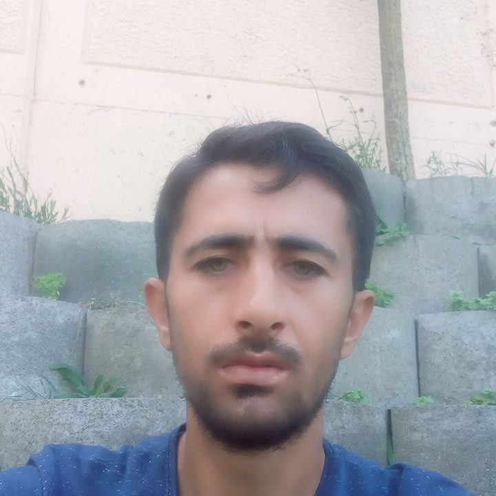 Ali