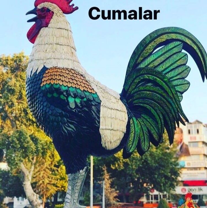 Yasar
