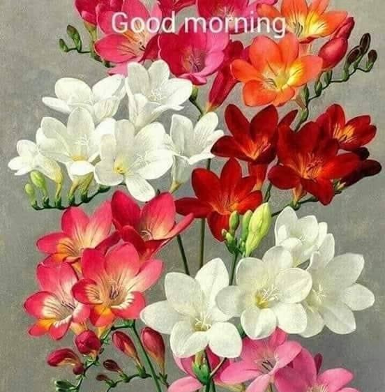Jitendar
