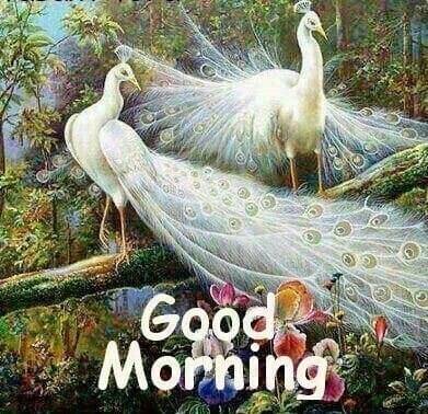 Aslam
