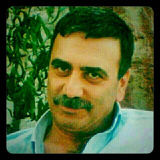 Şahin