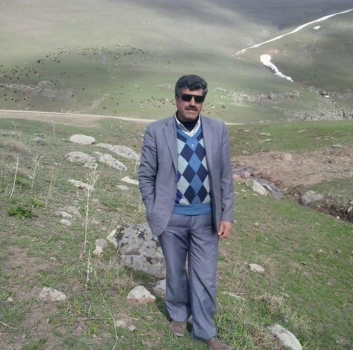 Şahin