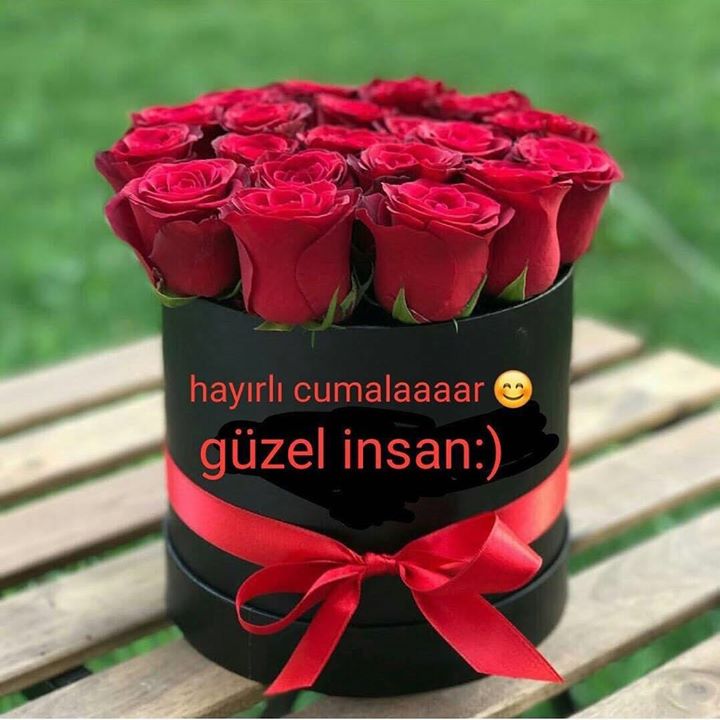 Sevgi