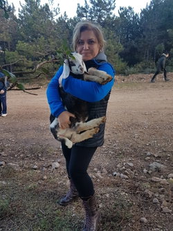 Nazli