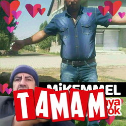Şahin
