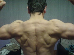 Ibrahim