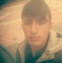 Murat