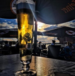 Jani