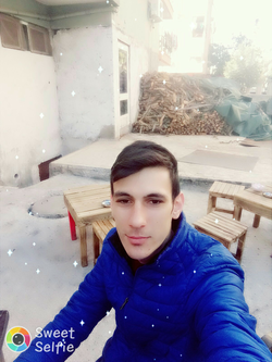 Hamit