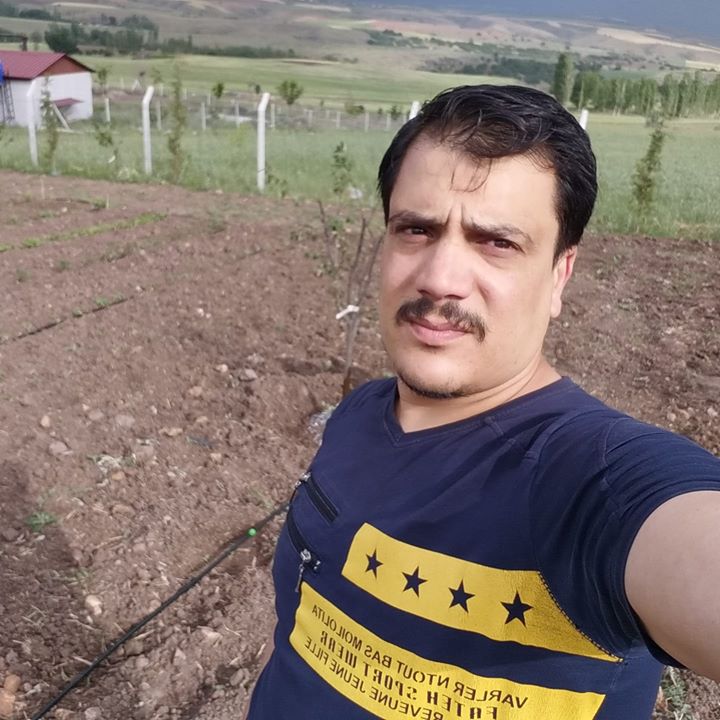 Abdulgavur