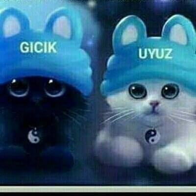 Aliye