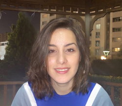 Bengisu