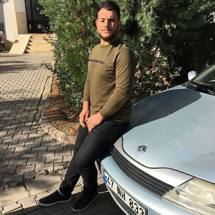 Doğan