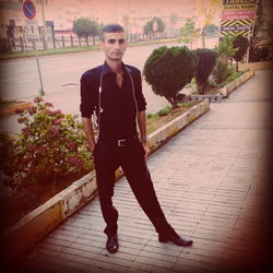 Çawreşamin