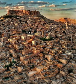 Mahmut