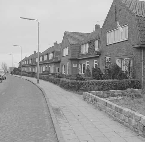 Sander