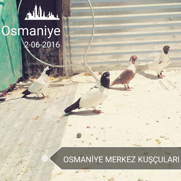 Gökmen